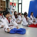 고려용호태권도 이미지