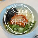 속초댁회국수 | [강원/고성] 봉포해수욕장 도보 5분, 애견동반 가능한 토성맛집 속초댁회국수 후기 🍜