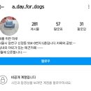 개를 위한 하루 이미지