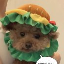 CJ더마켓토스페이