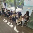 필유동물병원 네이버블로그