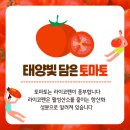 토마토요양병원 이미지