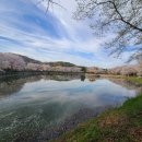 내고장탐방(일) | 〔당진시〕 골정지(건곤일초정) (骨井池. 乾坤一草亭)(4)