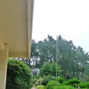 우리들의 꿈들 이미지