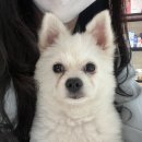 신일환동물병원 이미지