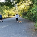 동부공원 | 뉴욕 센트럴파크 호수 단풍 미국 동부 여행 관광지 공원 피크닉 후기