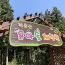 계룡산유아숲체험원 이미지