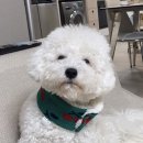 블클레르 이미지