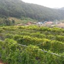 영경농장 이미지