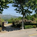 대문안 농장 이미지