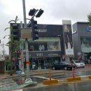 닥스 종합 이미지