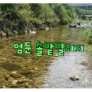 엄둔 솔밭 빌리지 이미지