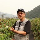황가네유통