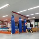 정함 체육관 이미지