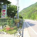 그린나래민박 이미지