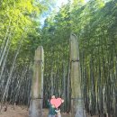 기장2주공남자경로당 | 부산 가볼만한 곳 [기장 아홉산 숲] : 아이&amp;부모님 모시고 가기 좋은 힐링 여행지 코스/ 꿀팁/ 주차정보...