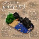 모인플랜트 | 울산 모인플랜트 테라리움 키트 하나뿐인 오브제 만드기