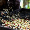 비거농장 이미지