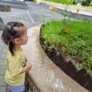 또또어린이집 이미지