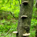 도원쉼터 이미지