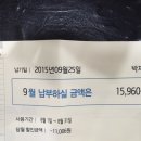 블루링크 요금 이미지