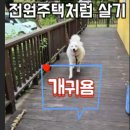 도리라이프 이미지