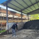 차씨축산 강원도민일보
