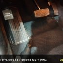 민호카센타 이미지