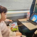 49 | [키즈·장소]👶 49개월 아이와 과천 서울 대공원 동물원 방문 기록