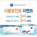 더블비젼
