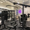 원더바디핏 이미지