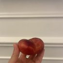 민게스트하우스 | 홍콩여행 2일차, 셩완 맛집 투어와 미드레벨 에스컬레이터, 소품샵, 야경, 게스트하우스로 이동