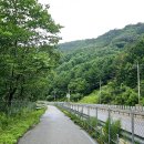 미시령선바위 이미지