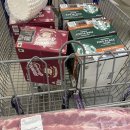 [LA일상_4월] 부지런히 장보러 다니기 / Sam&#39;s club / Ralphs / Mom&#39;s Touch / 한품배송 / Venice Beach