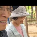 박당화랑 이미지