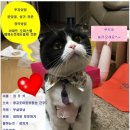 동태찌개 유명한집(본점) 이미지