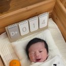 더올리비에르 이미지