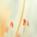 (주)진리 이미지