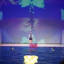 제주도 서귀포 갈만한곳 체험거리 가득한 아쿠아플라넷
