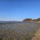 민머루해수욕장 이미지