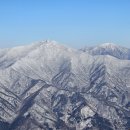 빙설화