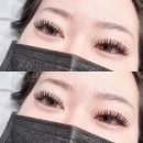 하비래쉬