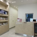 부산고양이분양 미유펫 | 부산고양이분양 브리티시숏헤어 미유펫