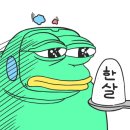 닥터방의원 | 20대 여자 헤어라인 모발이식 용닥터의원 내돈내산 후기 ①