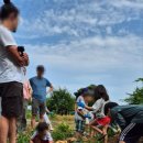 민들레연극마을 이미지