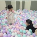 강원특별자치도 영월군 영월군종합사회복지관 이미지