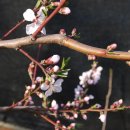 그린농원 이미지