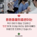 정직한 동물병원 이미지