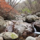 장호관광지 이미지