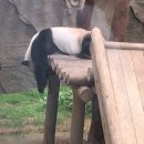 중우유치원 이미지